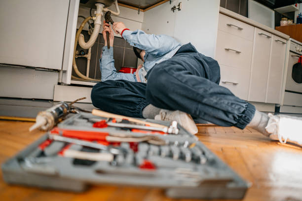 Best Commercial Plumbing Services  in Blooming Prairie, MN