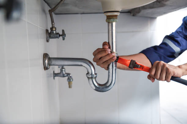 Best Plumbing Services Near Me  in Blooming Prairie, MN