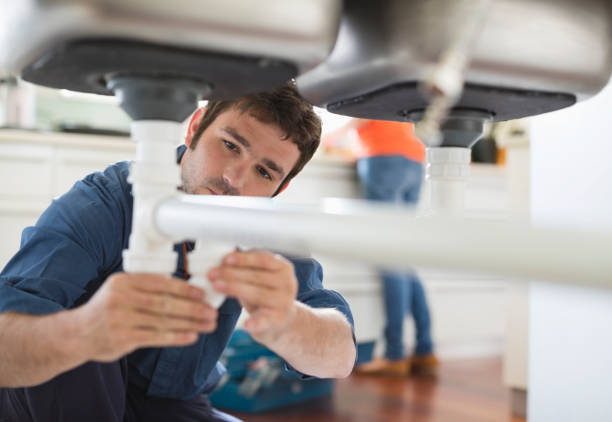 Best Affordable Plumber Near Me  in Blooming Prairie, MN